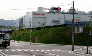 �V���|�v�T�R�H��