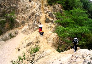 �i�C�t�G�b�W��ʉ߂���q�ǂ��B