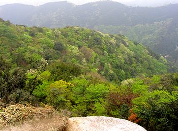 �R������̒���