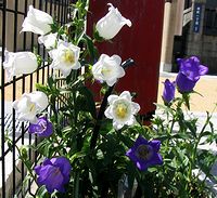 �܂��Ō��t������