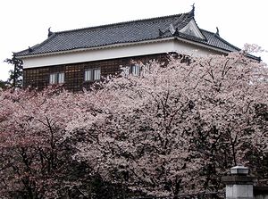 �T�R�鑽���E�ƍ�