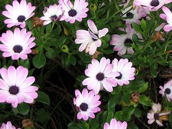 �܂��Ō��t������