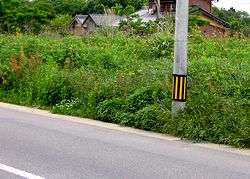 �G�����΂�󂫒n