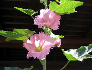 �܂��Ō��t������