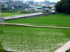 �c�A�����I������c���