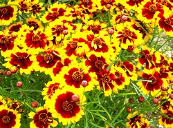 �܂��Ō��t������