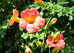 �܂��Ō��t������