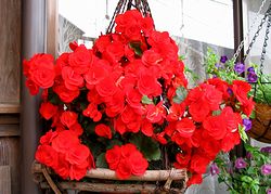 �܂��Ō��t������