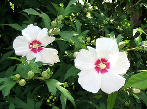 �܂��Ō��t������