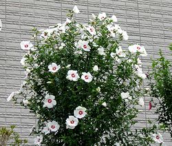 �܂��Ō��t������