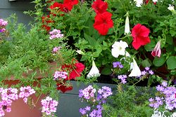 �܂��Ō��t������