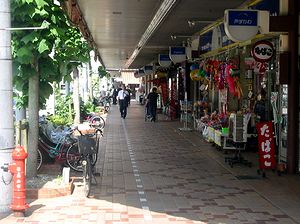 ���R�s�̏��X�X