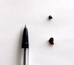 �䂪�Ƃ̐�������o�Ă�������