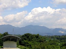 �T�R���������o�R������