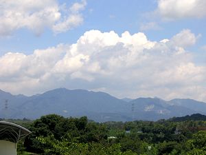 �Ă̓����_�Ɩ�o�R