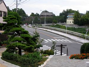 �������猩�������E�i������₮��j