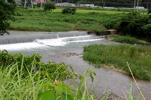 �q�ǂ��̍��悭�V�񂾁u��_���v