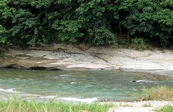 ���ꂽ�┧�i����������Ƃ���j