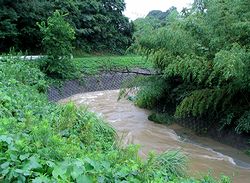 ����������̖���