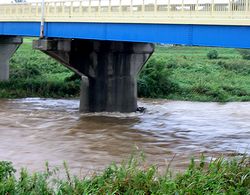 �T�R���̉��̗���