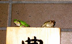 �\�D�̏�ō����̌���������J�G������