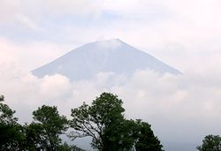 �_�̍��Ԃ������o���x�m�R