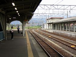 �o���O�̋T�R�w