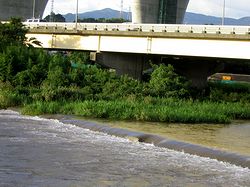 �䕗�P�U���̉e���ő��������鎭��