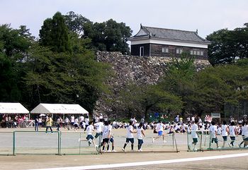 �T���^����̗l�q