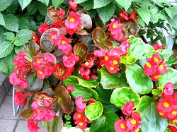 �܂��Ō�������