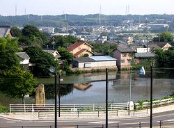 �����E����쓌����������