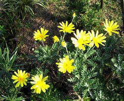 �܂��Ō�������