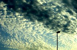 �H�̋���ے����邢�킵�_