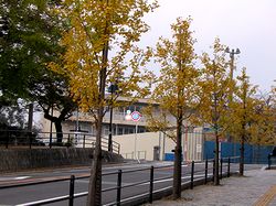 �H�̐[�܂������������X�H��