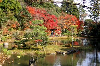 �~�����̒뉀