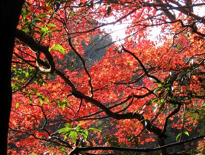 �~�����̍g�t