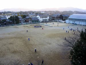 �����E���猩���T�R���̃O�����h�i�L���Ƃ͊֌W����܂���j