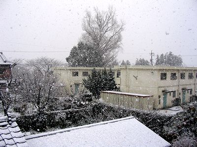 �����猩����C�`���E�̖�