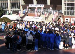 ���Q���̑I��B