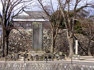 �s�������猩�������E�i�T�R����j