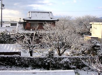 ����̑����猩�������̓������i�F