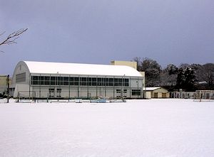 ��̐ς������T�R���w�Z�O�����h�Ƒ̈��