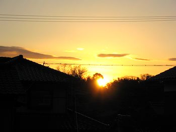 ����Q�K���猩�����̏o�i�V���߂��j