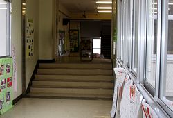 �Z�ɂƍZ�ɂ̂Ȃ��ځA�W���C���g�����̊K�i