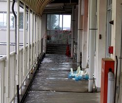 �R�E�S�N���̋����̖k���̘L��