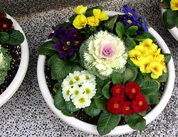 �܂��Ō�������