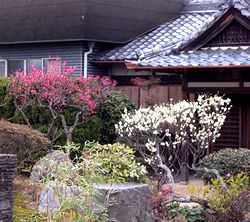 �܂��Ō������t�̌i�F