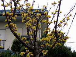 �����Ō�������