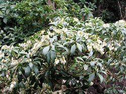 �܂��Ō�������