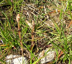 �鎭��̒�h�Ō���������